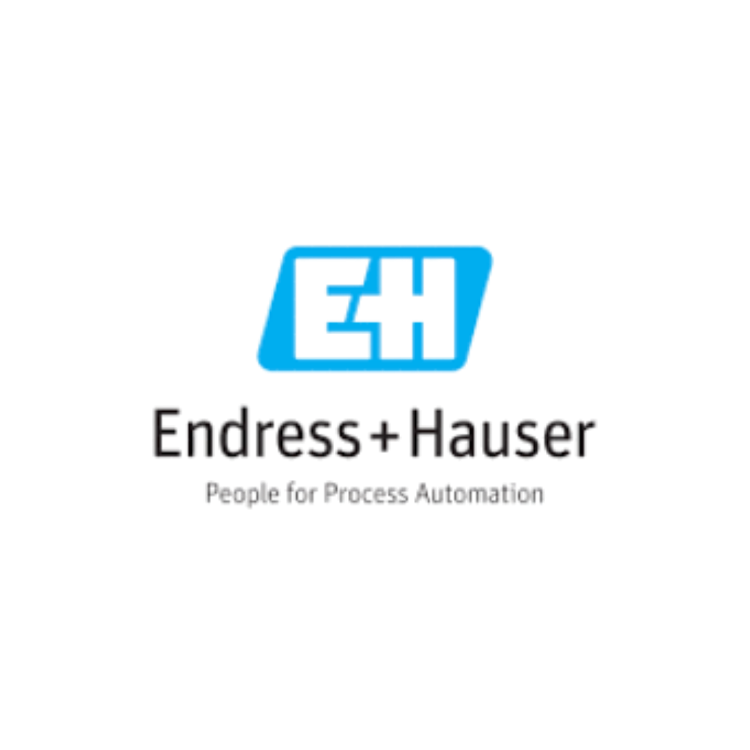 Endress Hauser